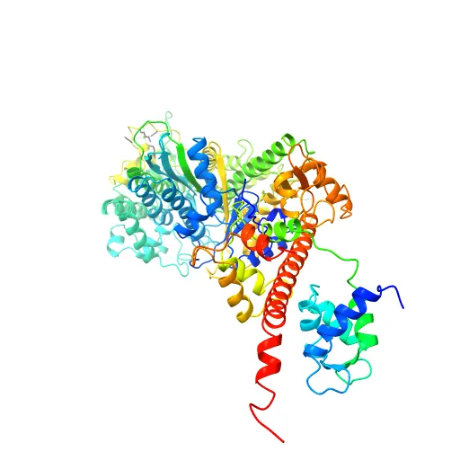 Crystal Structure of nucleotide-free Myosin 1b residues 1-728 with bound Calmodulin — Фото 13 из 13