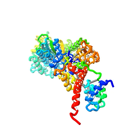 Crystal Structure of nucleotide-free Myosin 1b residues 1-728 with bound Calmodulin — Фото 2 из 13