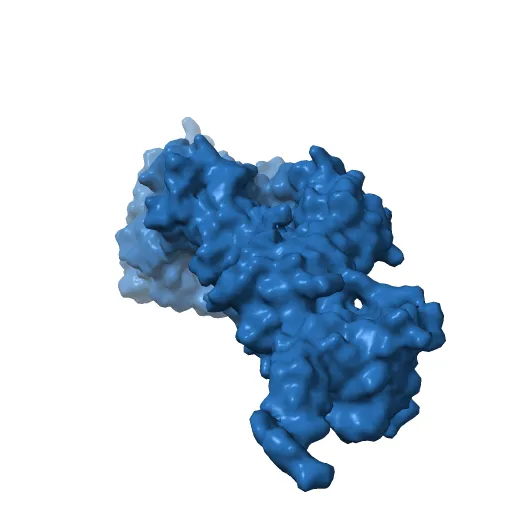 Crystal Structure of nucleotide-free Myosin 1b residues 1-728 with bound Calmodulin — Фото 3 из 13