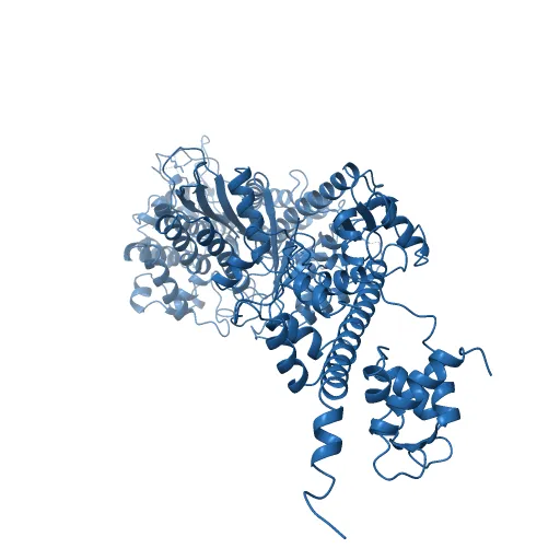 Crystal Structure of nucleotide-free Myosin 1b residues 1-728 with bound Calmodulin — Фото 4 из 13