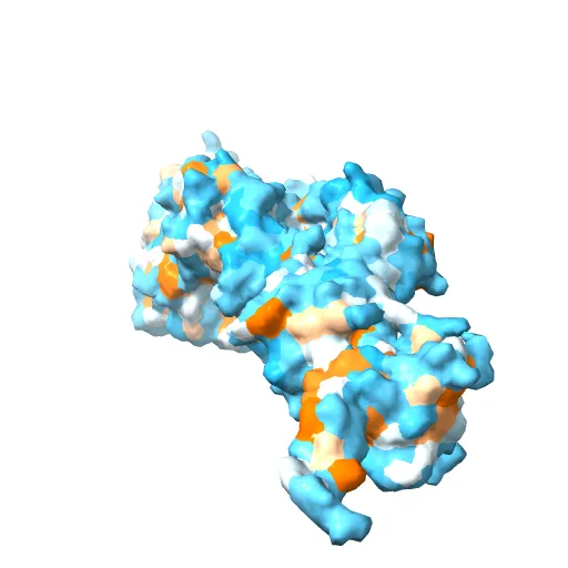 Crystal Structure of nucleotide-free Myosin 1b residues 1-728 with bound Calmodulin — Фото 5 из 13