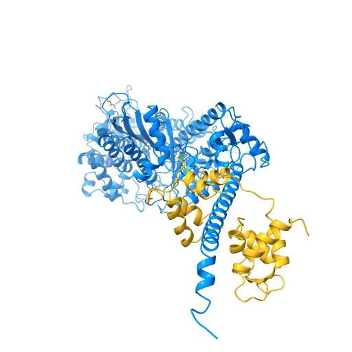 Crystal Structure of nucleotide-free Myosin 1b residues 1-728 with bound Calmodulin — Фото 7 из 13