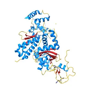 Crystal structure of MAGEG1 and NSE1 complex