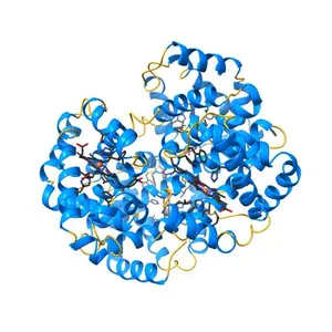 TROUT HEMOGLOBIN I