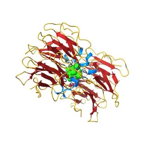 Crystal structure of nvPizza2-S16H58 coordinating a CdCl2 nanocrystal