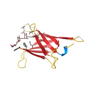 Human OS-9 MRH domain complexed with alpha3,alpha6-Man5