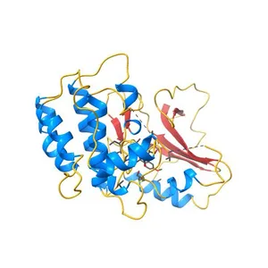 Crystal structure of RIP1 kinase in complex with necrostatin-3 analog