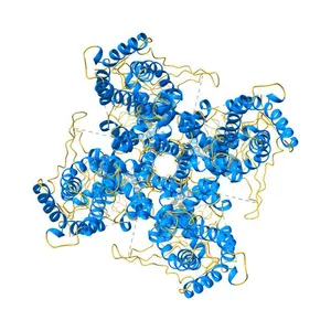Structure of the TRPA1 ion channel determined by electron cryo-microscopy