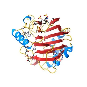 Endonuclease domain of human LINE1 ORF2p