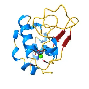 Crystal structure of alpha-lactalbumin