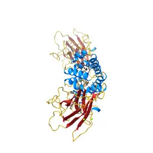 Crystal structure of chlorocatechol 1,2-dioxygenase from Pseudomonas putida
