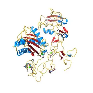 Structural and biochemical studies on the ectodomain of human ADAM22