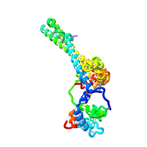 Crystal structure of the 52kDa domain of human cardiac troponin in the Ca2+ saturated form — Image 13 of 13