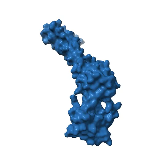 Crystal structure of the 52kDa domain of human cardiac troponin in the Ca2+ saturated form — Image 3 of 13