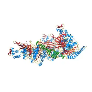 Mechanism of homologous recombination from the RecA-ssDNA/dsDNA structures