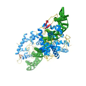 P2(1) Structure of pNOB8 AspA-DNA complex