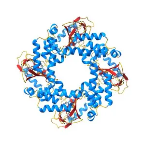 HCN2 CNBD in complex with cytidine-3', 5'-cyclic monophosphate (cCMP)