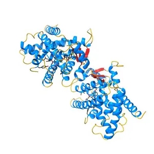 Crystal structure of peroxisome proliferator-activatedeceptor alpha (PPARalpha) complex with N-3-((2-(4-Chlorophenyl)-5-methyl-1,3-oxazol-4-yl)methoxy)benzyl)-N-(methoxycarbonyl)glycine