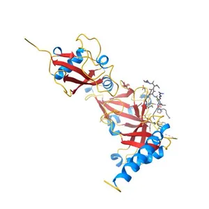 Crystal structure of USP7 ubiquitin-like domains in compact conformation