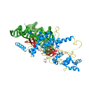 Crystal Structure of human GEN1 in complex with Holliday junction DNA in the upper interface