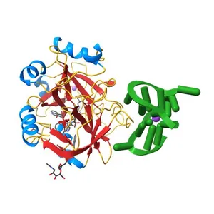 X-ray structure of the complex between human alpha-thrombin and modified 15-mer DNA aptamer containing 5-(3-(acetamide-N-yl)-1-propen-1-yl)-2'-deoxyuridine residue