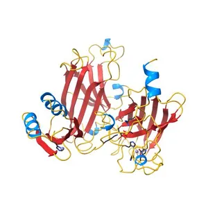 Heterodimer between H48F-ySOD1 and yCCS