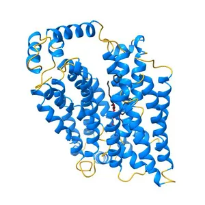 Crystal structure of the human glucose transporter GLUT1