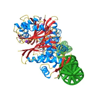 NikR-operator DNA complex
