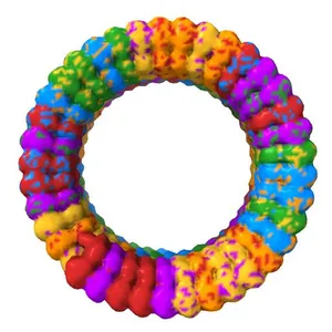 CRYOEM MODEL OF THE VESICULAR STOMATITIS VIRUS