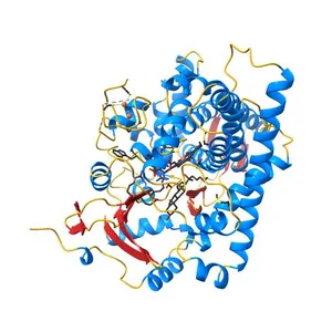Crystal structure of human CYP11A1 in complex with 20-hydroxycholesterol