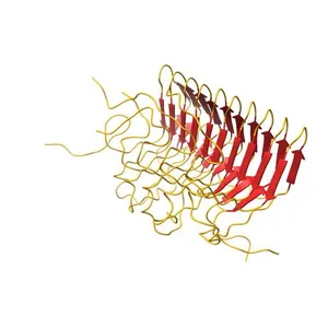 Structure of The HET-s(218-289) prion in its amyloid form obtained by solid-state NMR