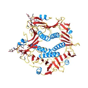 CHOLERA TOXIN B-PENTAMER MUTANT G33R BOUND TO RECEPTOR PENTASACCHARIDE