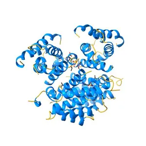 Crystal structure of DPY-30 dimerization/docking domain in complex with Ash2L Sdc1-DPY-30 Interacting region (SDI)
