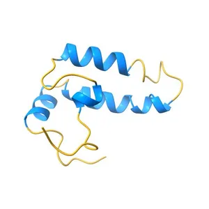 Solution structure of J-domain from human DnaJ subfamily B menber 12