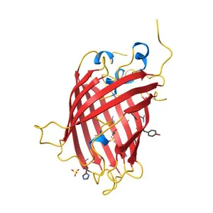 Switching GFP fluorescence using genetically encoded phenyl azide chemistry through two different non-native post-translational modifications routes at the same position.