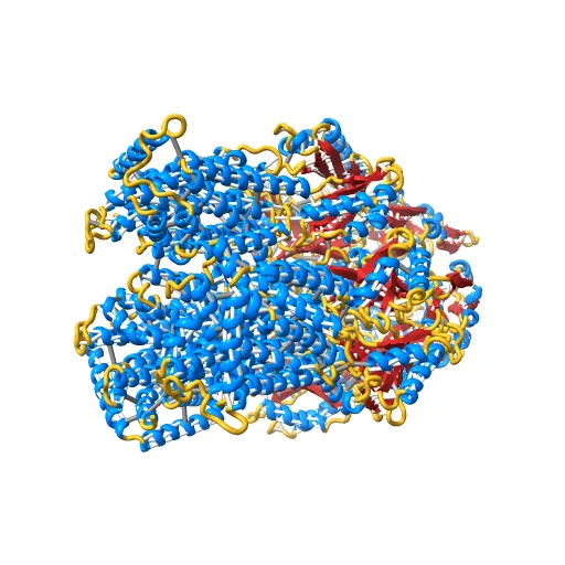 Asymmetric structure of trimeric AcrB from Escherichia coli — Фото 5 из 13