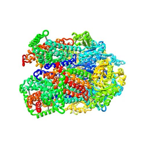Asymmetric structure of trimeric AcrB from Escherichia coli — Фото 6 из 13