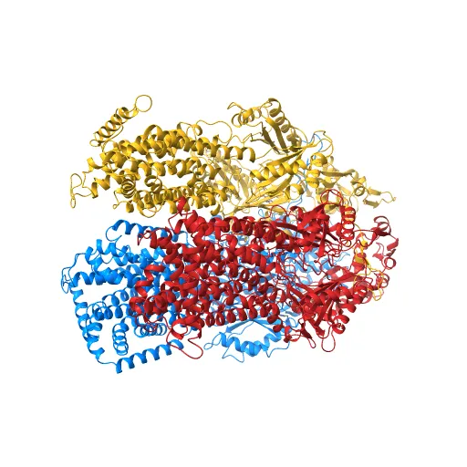 Asymmetric structure of trimeric AcrB from Escherichia coli — Фото 8 из 13