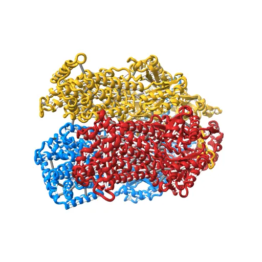 Asymmetric structure of trimeric AcrB from Escherichia coli — Фото 9 из 13