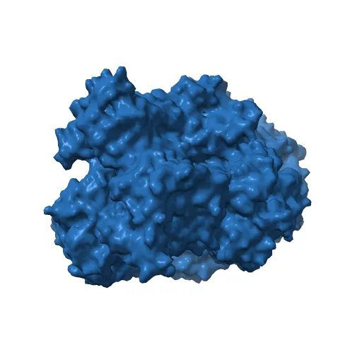 Asymmetric structure of trimeric AcrB from Escherichia coli — Фото 10 из 13