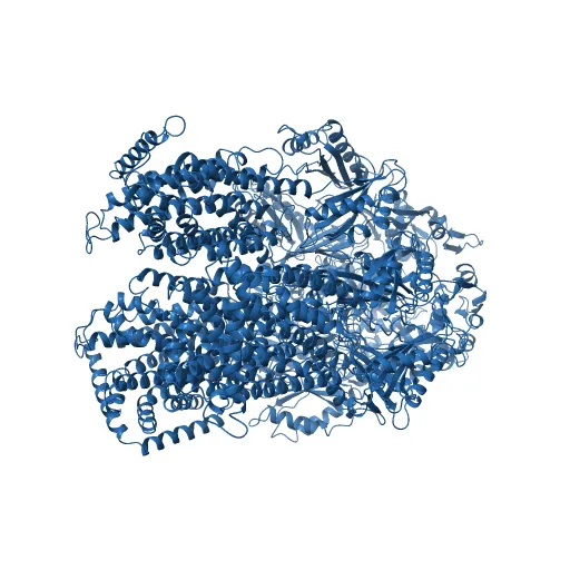 Asymmetric structure of trimeric AcrB from Escherichia coli — Фото 11 из 13