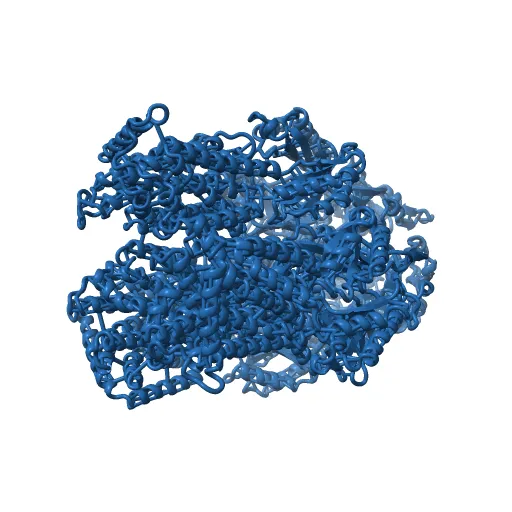 Asymmetric structure of trimeric AcrB from Escherichia coli — Фото 12 из 13