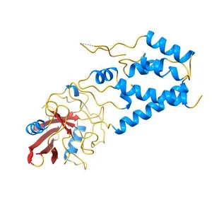 Crystal structure of HIV-1 capsid N-terminal domain in complex with NUP358 cyclophilin