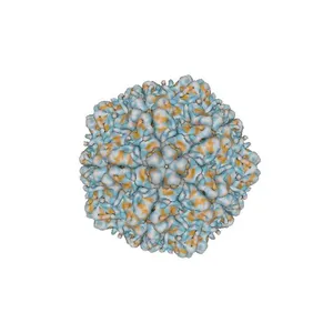 Electron cryo-microscopy of a virus-like particle of orange-spotted grouper nervous necrosis virus. PDB 3JBM