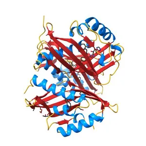 CRYSTAL STRUCTURE OF A PUTATIVE AROMATIC RING HYDROXYLASE (SARO_3538) FROM NOVOSPHINGOBIUM AROMATICIVORANS DSM AT 1.75 A RESOLUTION