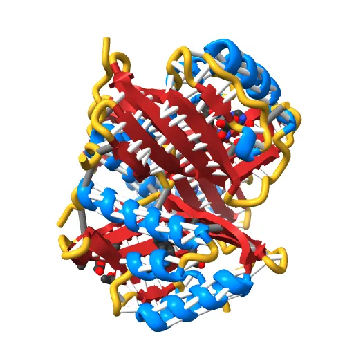 CRYSTAL STRUCTURE OF A PUTATIVE AROMATIC RING HYDROXYLASE (SARO_3538) FROM NOVOSPHINGOBIUM AROMATICIVORANS DSM AT 1.75 A RESOLUTION — Фото 2 из 13