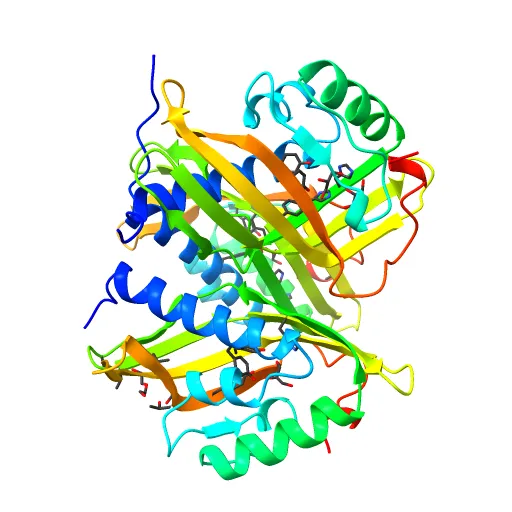 CRYSTAL STRUCTURE OF A PUTATIVE AROMATIC RING HYDROXYLASE (SARO_3538) FROM NOVOSPHINGOBIUM AROMATICIVORANS DSM AT 1.75 A RESOLUTION — Фото 4 из 13