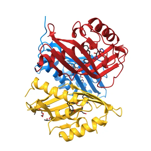 CRYSTAL STRUCTURE OF A PUTATIVE AROMATIC RING HYDROXYLASE (SARO_3538) FROM NOVOSPHINGOBIUM AROMATICIVORANS DSM AT 1.75 A RESOLUTION — Фото 5 из 13