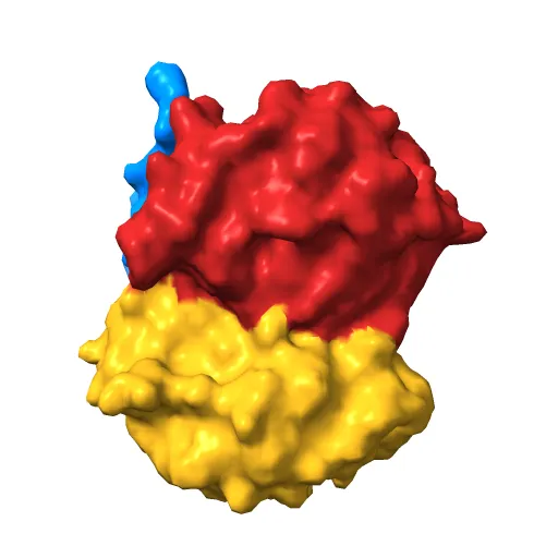 CRYSTAL STRUCTURE OF A PUTATIVE AROMATIC RING HYDROXYLASE (SARO_3538) FROM NOVOSPHINGOBIUM AROMATICIVORANS DSM AT 1.75 A RESOLUTION — Фото 6 из 13