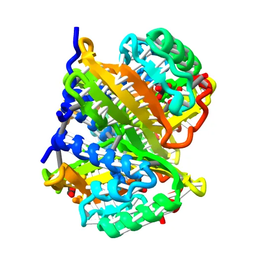 CRYSTAL STRUCTURE OF A PUTATIVE AROMATIC RING HYDROXYLASE (SARO_3538) FROM NOVOSPHINGOBIUM AROMATICIVORANS DSM AT 1.75 A RESOLUTION — Фото 7 из 13